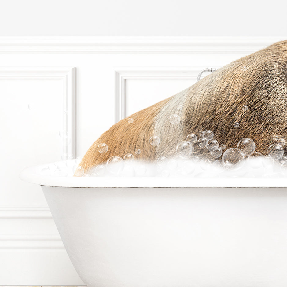 a dog is taking a bath in a bathtub