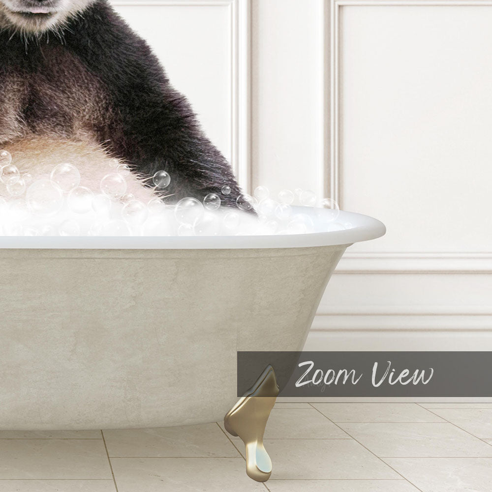 A close-up of a cat's paw in a bathtub filled with bubbles, with the text "Zoom View" overlaid on the image.