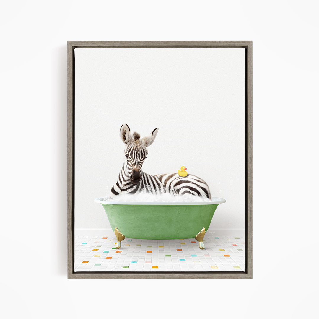 A zebra is sitting in a green bathtub, with a yellow rubber duck floating on its back.