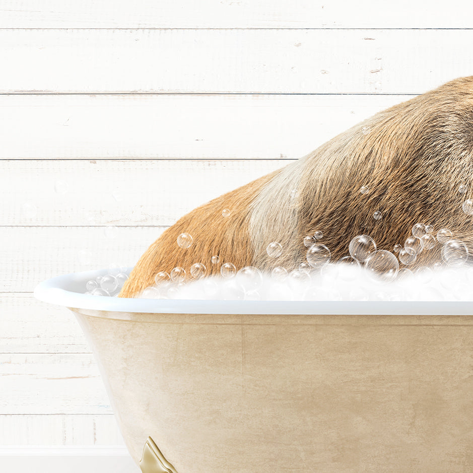 a dog taking a bath in a bathtub