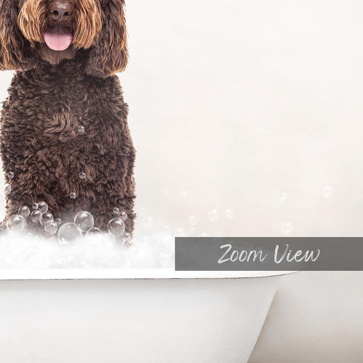 A brown dog standing in a bathtub filled with bubbles, with the word "Zoom View" written on the side of the tub.