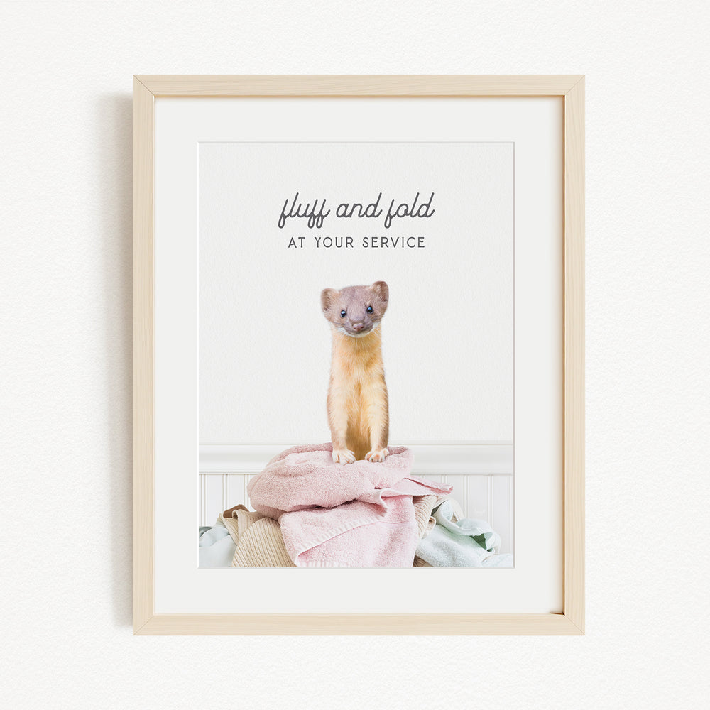A framed image of a small animal, likely a cat, sitting on a pile of clothes and looking directly at the camera.