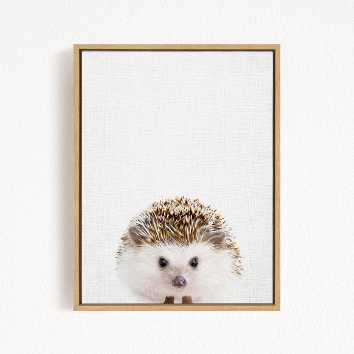 A cute hedgehog with a fluffy white coat and brown spines is the main subject of the image, which is a framed print hanging on a white wall.