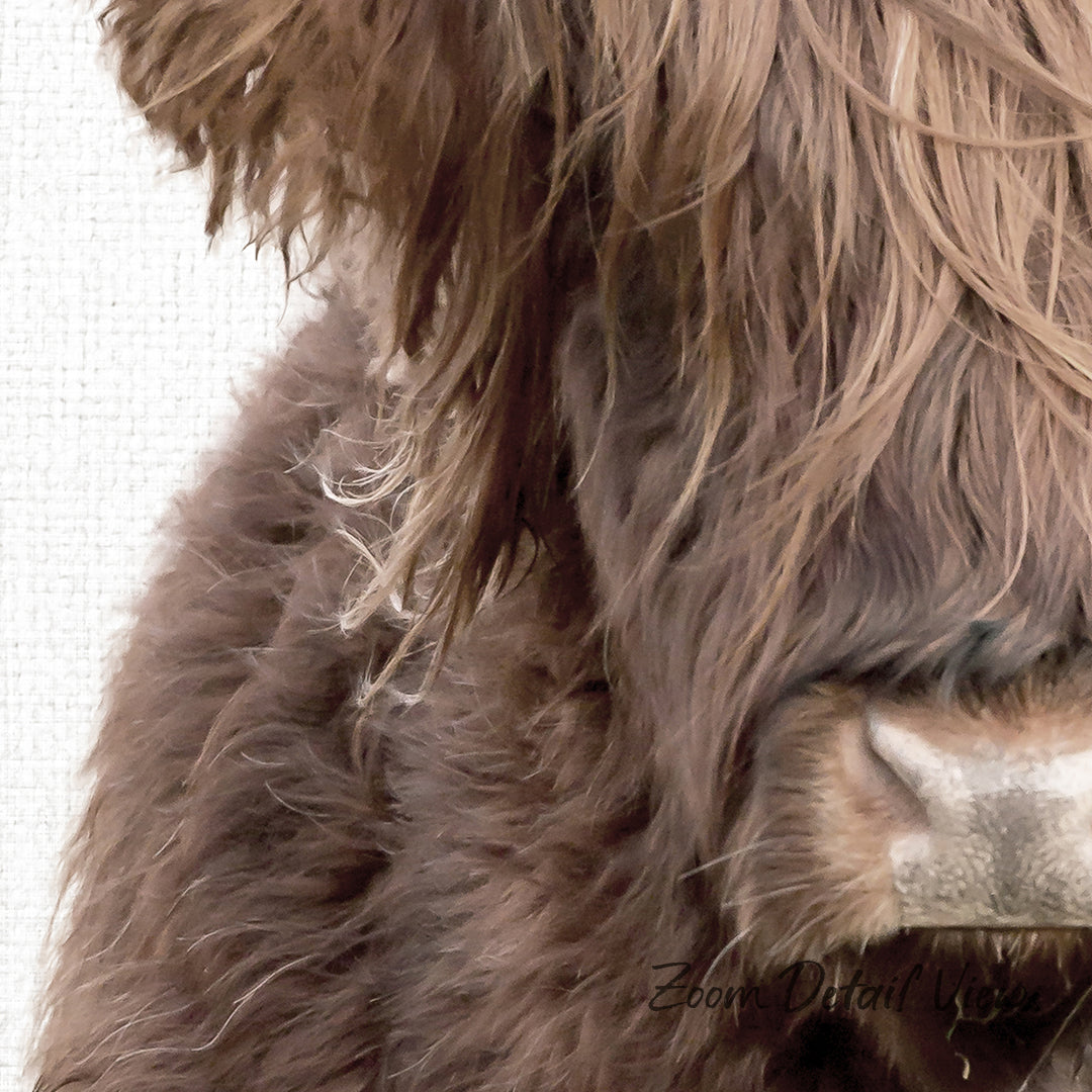 A close-up of a furry brown animal's face, likely a dog or a sheep, with long, flowing hair.