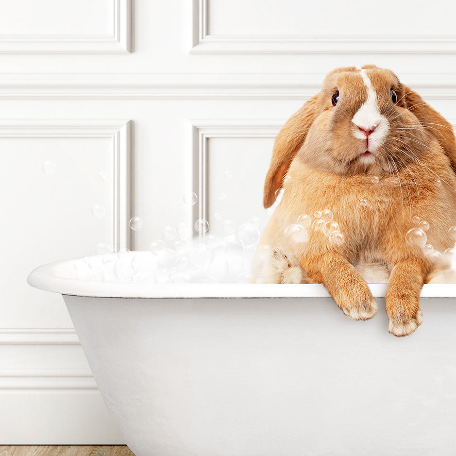 a brown and white rabbit sitting in a bathtub