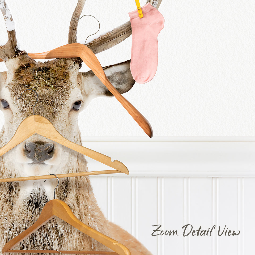 A deer head wearing a pink sock and holding a wooden hanger is shown in the image.