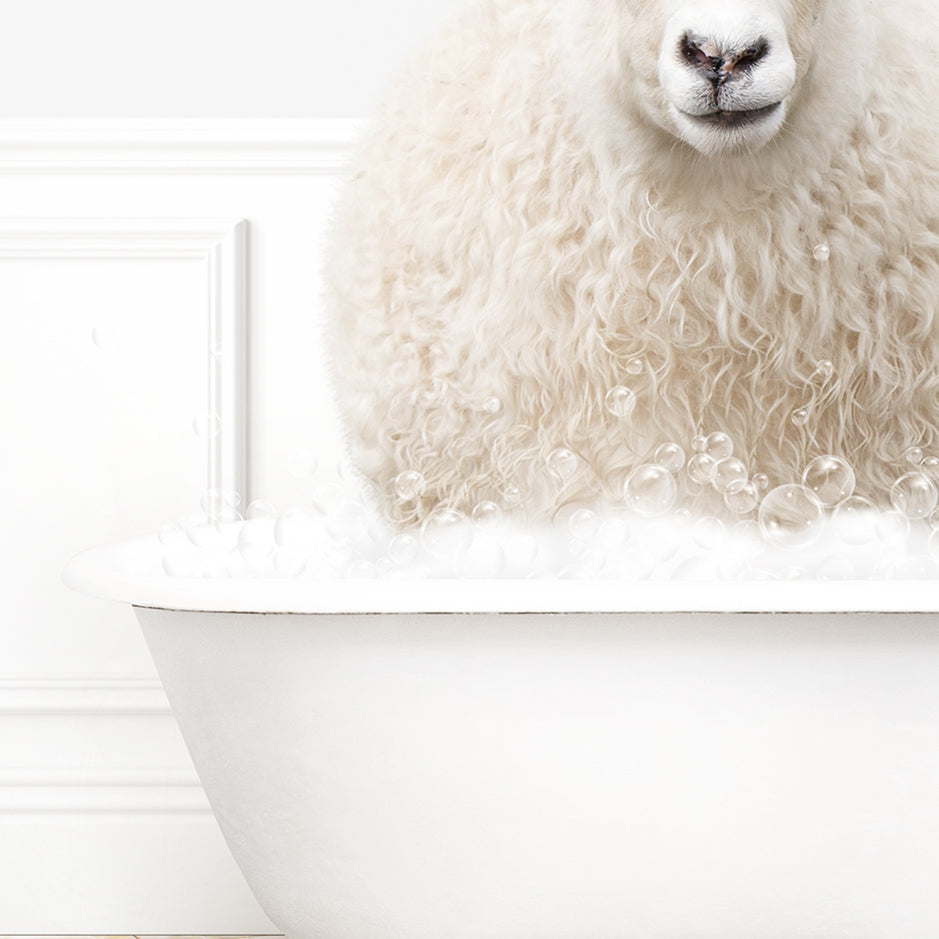 Sheep in Modern Bath