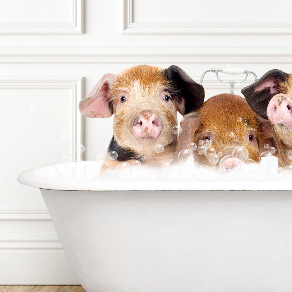 three little pigs sitting in a bathtub with bubbles