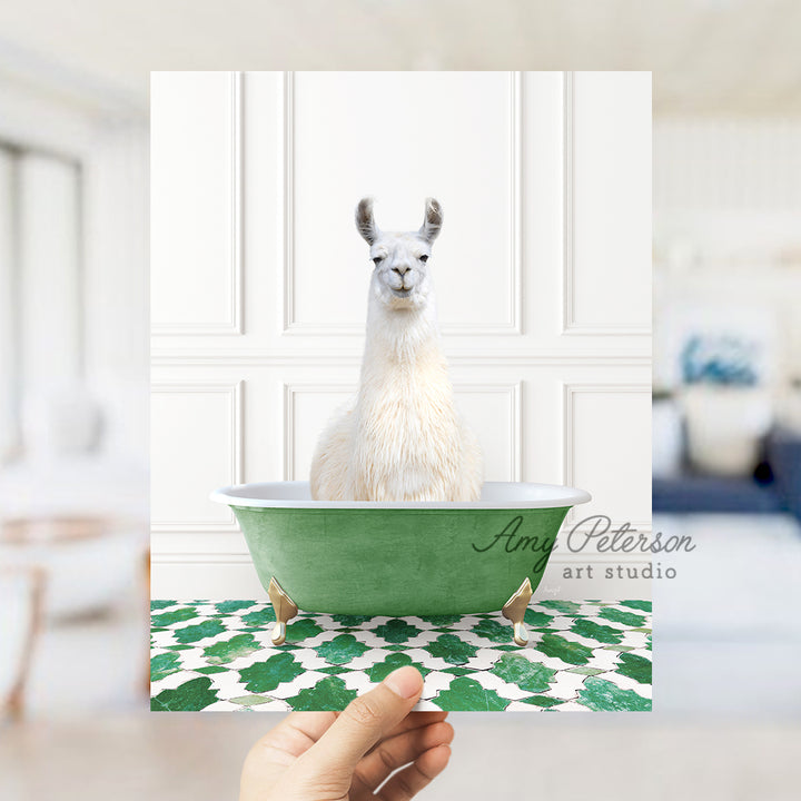 a llama sitting in a green bath tub