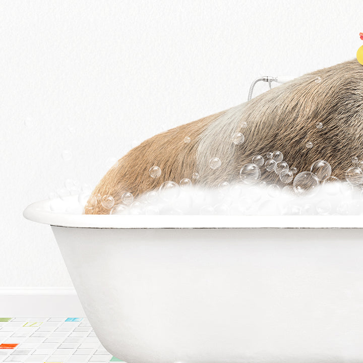 a dog is taking a bath in a bathtub