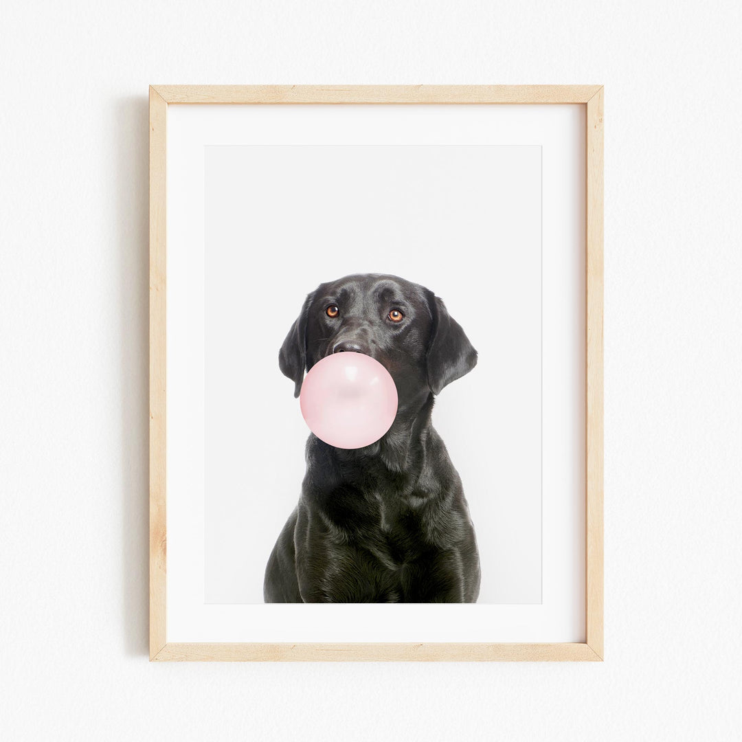a black dog with a pink bubble in its mouth