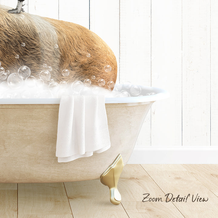 A dog is sitting in a bathtub filled with bubbles, with a towel draped over the side and a wooden floor visible in the background.