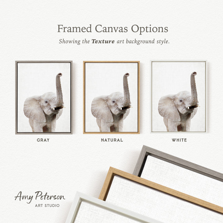 three framed canvas options, each with a different background color: gray, natural, and white. The text above the images reads " Framed Canvas Options" and "Showing the Texture art background style."