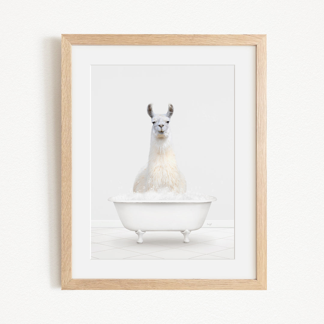 A white llama sitting in a white bathtub filled with bubbles, as depicted in the framed image.