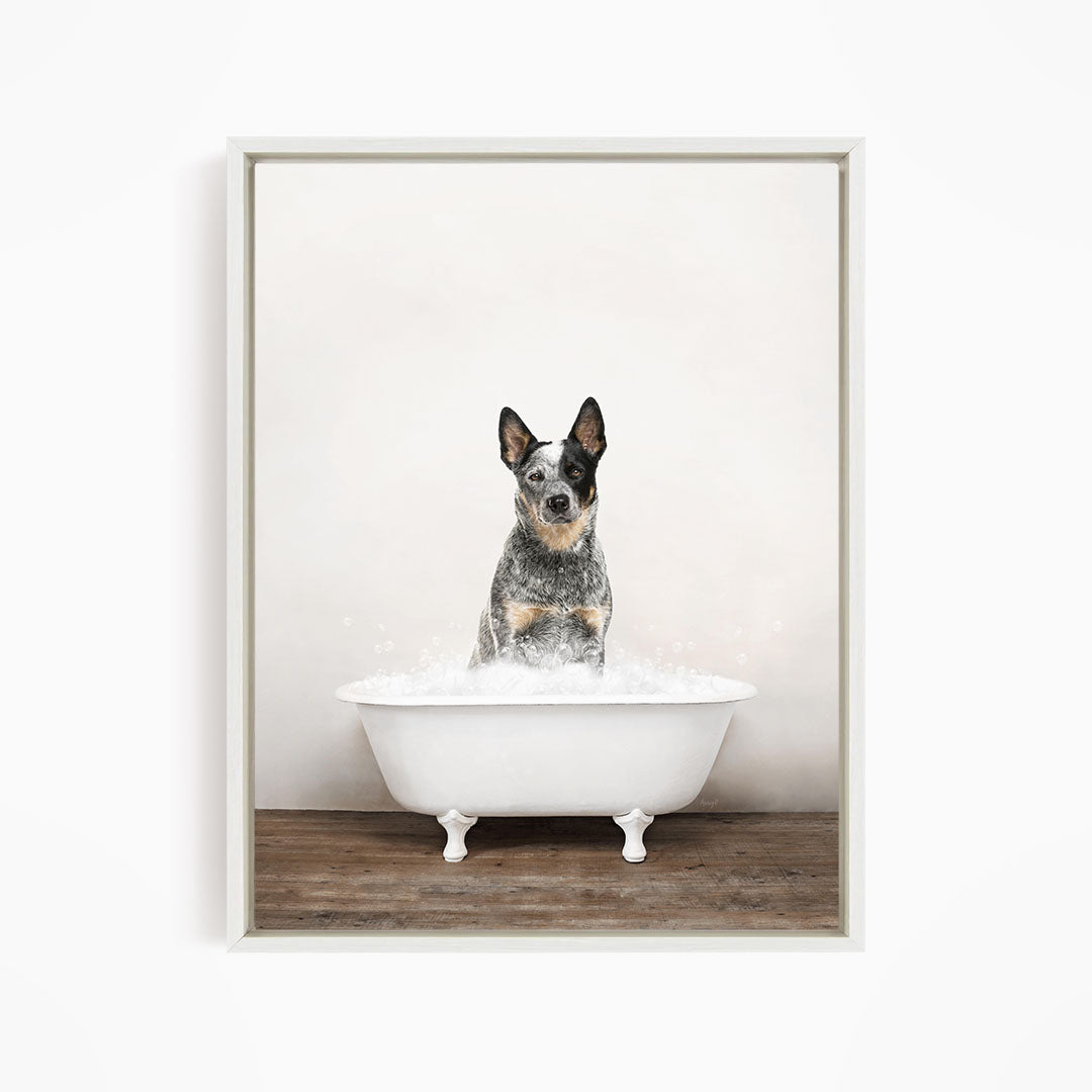 A black and white dog sitting in a white bathtub filled with water, looking directly at the camera.