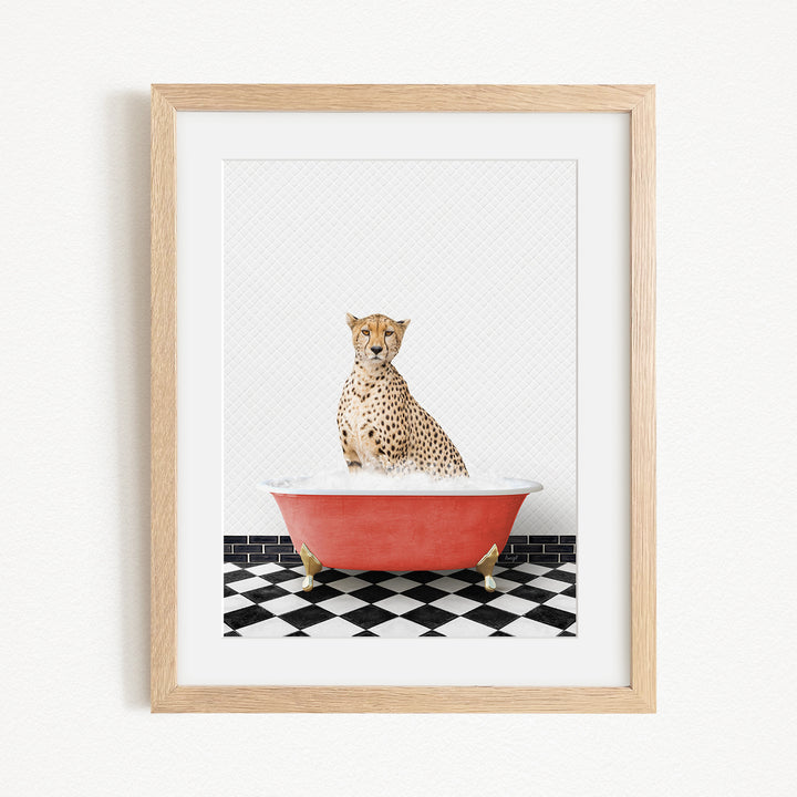 A cheetah sitting in a red bathtub filled with water, surrounded by a black and white checkered floor.
