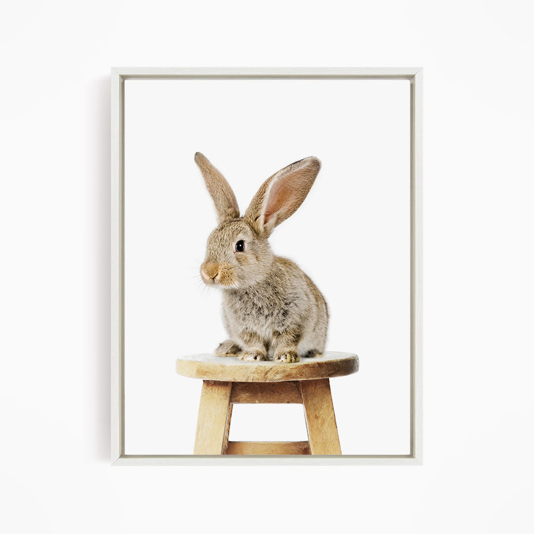A cute, fluffy rabbit sits on a wooden stool, its ears perked up and alert.