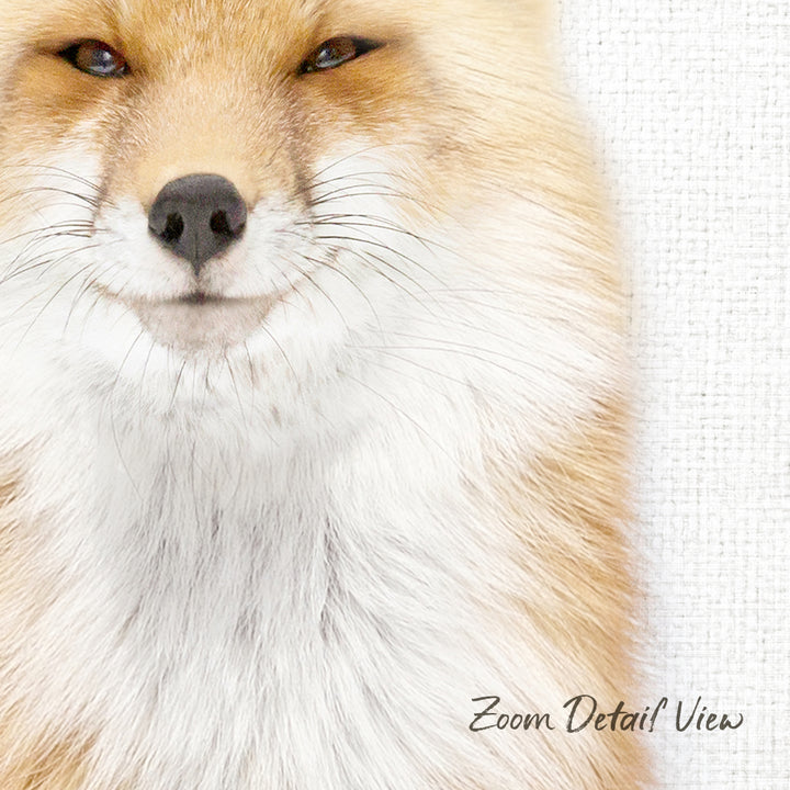 A close-up of a fox's face, with its distinctive features such as its fur, whiskers, and nose clearly visible.