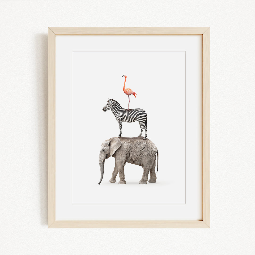 A framed image depicting a zebra standing on the back of an elephant.
