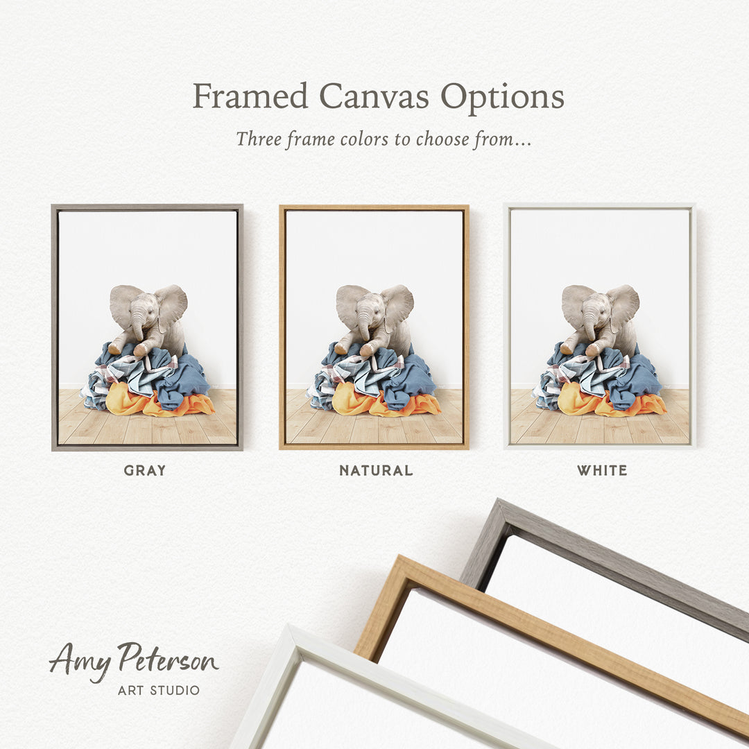 three framed canvas options, each with a different color: gray, natural, and white. The text above the images reads " framed Canvas Options" and "Three frame colors to choose from...". The text below the images reads "Grays", "NATURAL", and "WHITE". The artist's name, Amy Peterson, is also mentioned at the bottom of the image.