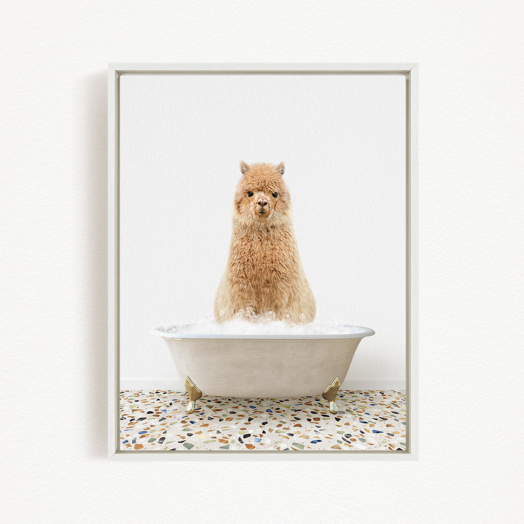 A fluffy brown alpaca sitting in a white bathtub filled with bubbles, with a speckled floor in the background.