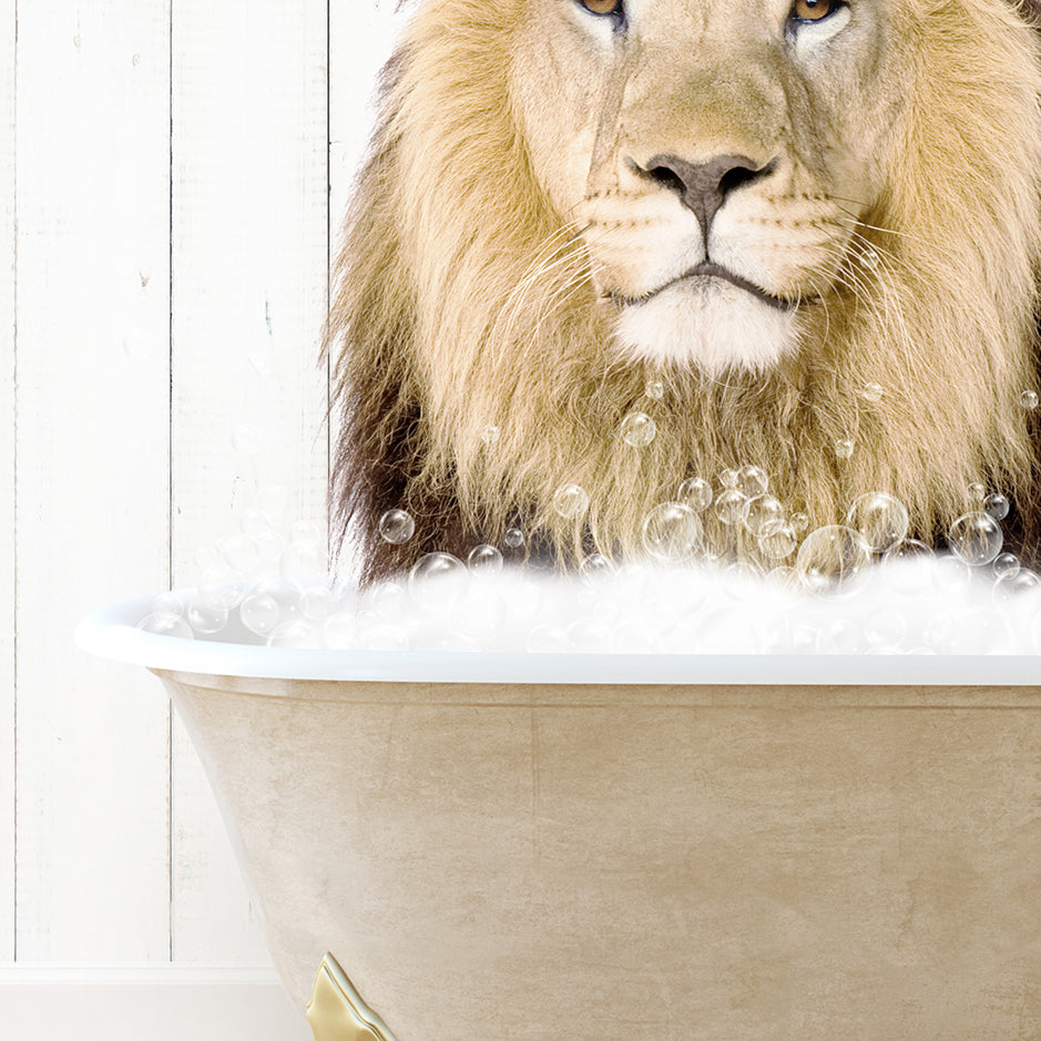 a lion is sitting in a bathtub with bubbles