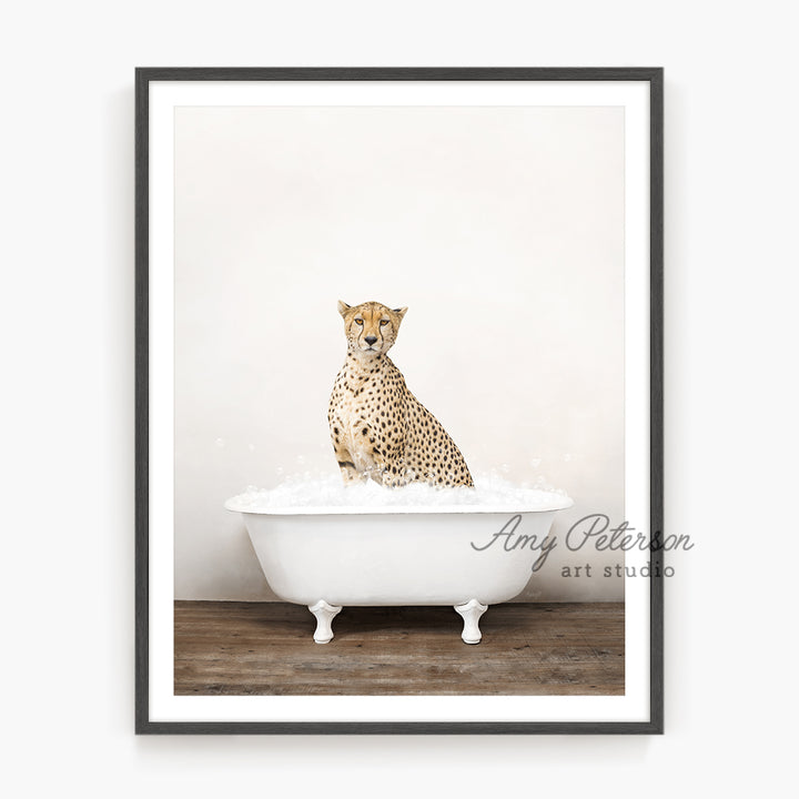 a picture of a cheetah sitting in a bathtub