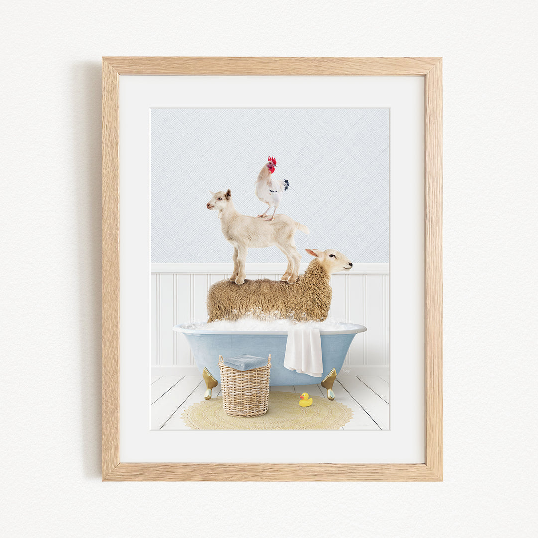 A framed image depicting a goat standing on a sheep's back while a rooster stands on top of the sheep, all in a bathtub.