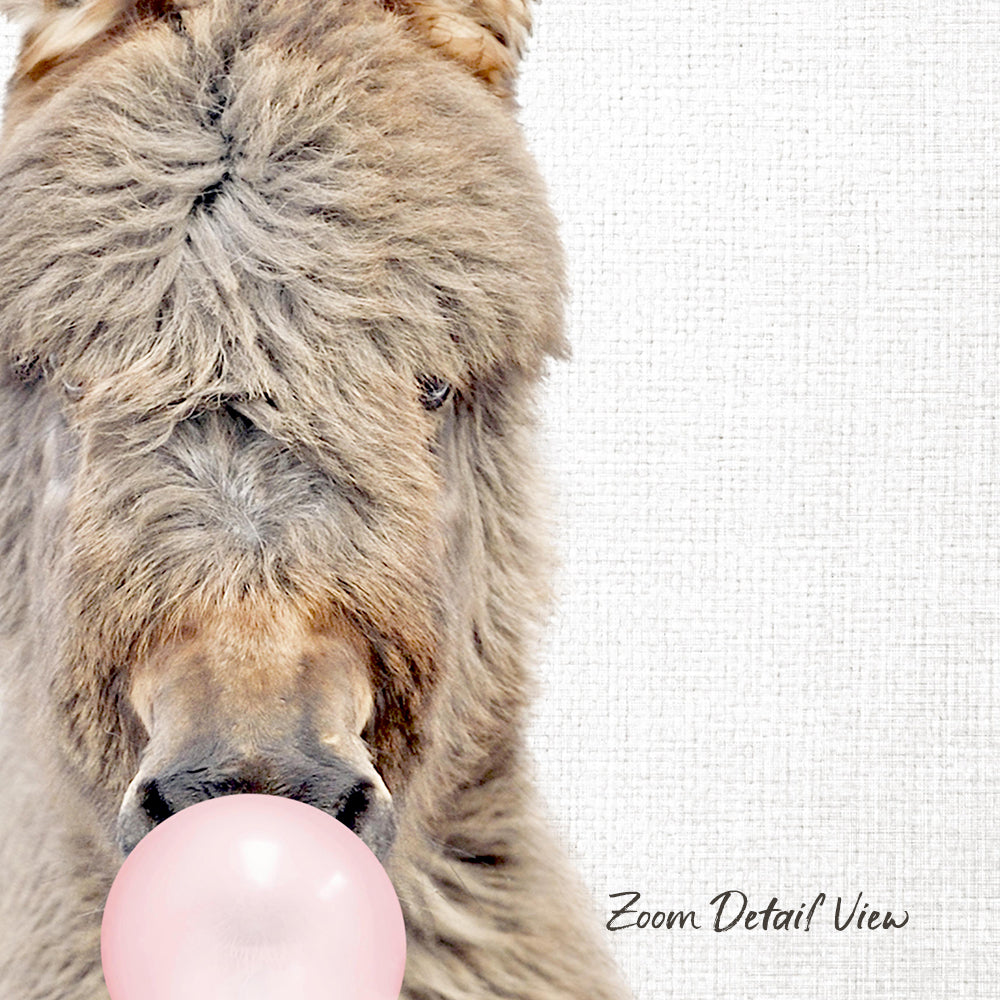 A close-up of a donkey's face holding a pink bubble, with a text overlay that reads "Zoom Detail View".