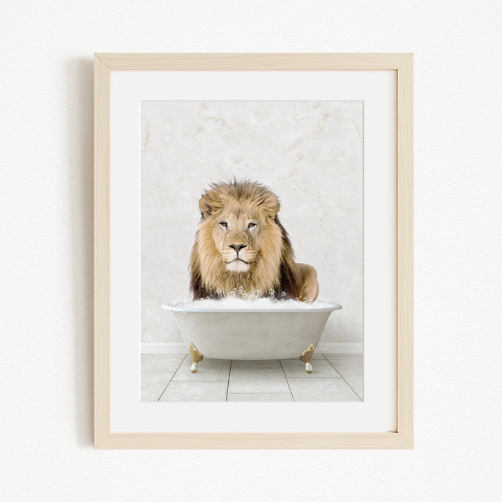 A lion sitting in a white bathtub filled with water, looking directly at the camera.
