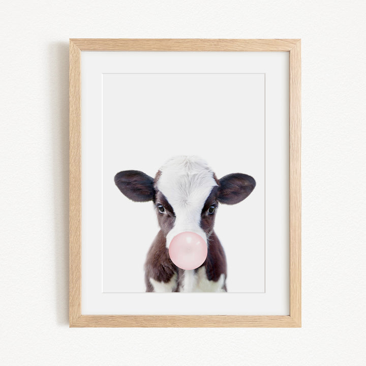 A framed image of a cow blowing a bubble with a pink bubble gum bubble.