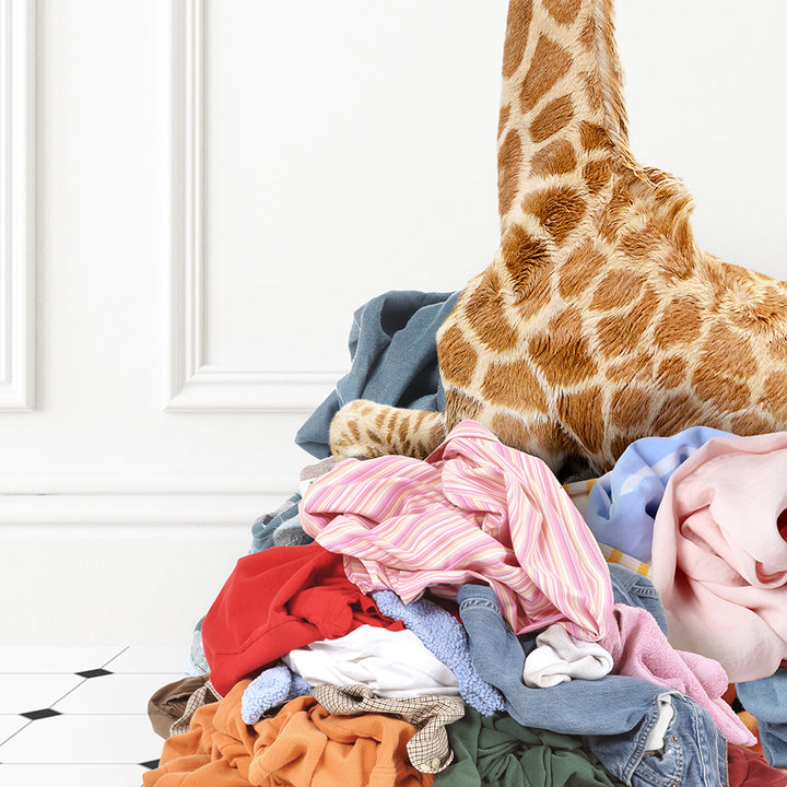 a giraffe standing over a pile of clothes