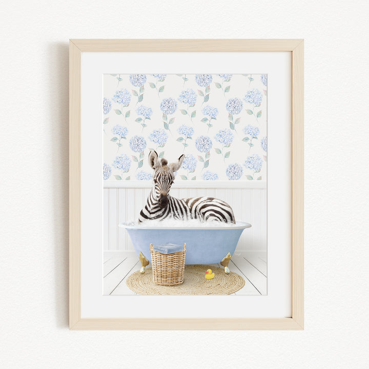 A zebra is sitting in a blue bathtub filled with water, surrounded by a wicker basket and yellow rubber ducks.