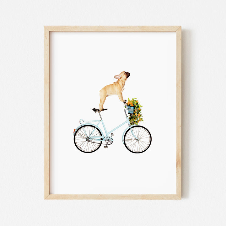 a picture of a dog riding a bike