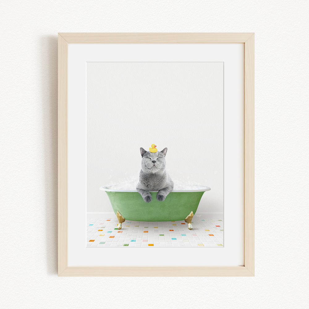 A gray cat sitting in a green bathtub, with two small yellow birds perched on the sides of the tub.