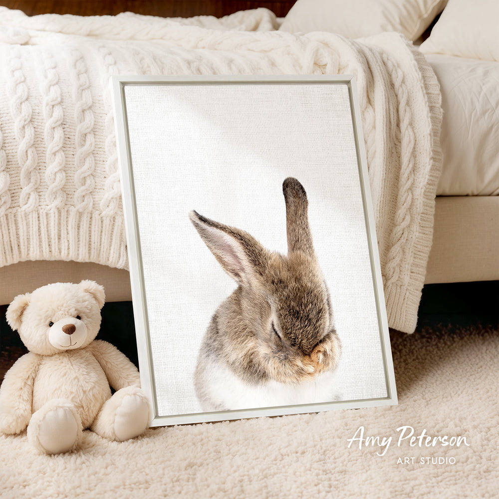 A framed photograph of a rabbit is displayed on a white wall, accompanied by a teddy bear on a beige carpet.
