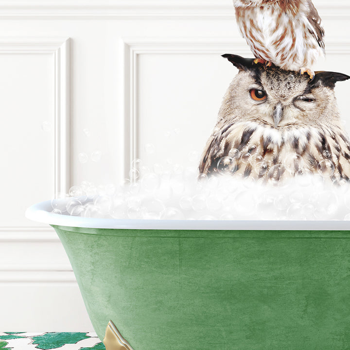 an owl sitting on top of a bath tub filled with foam