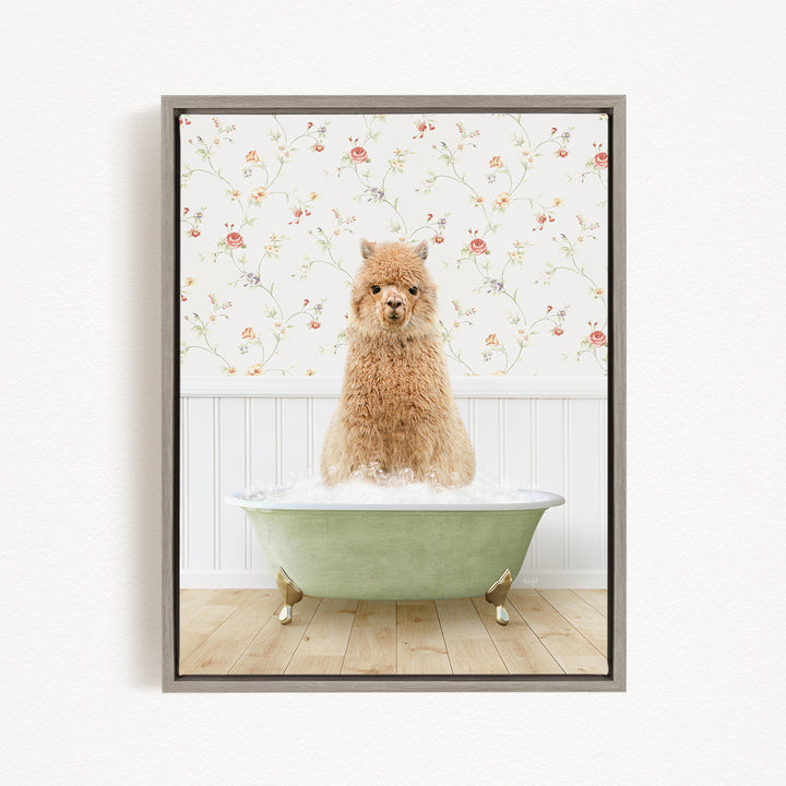 A fluffy brown dog sitting in a green bathtub filled with water, with a floral wallpaper in the background.
