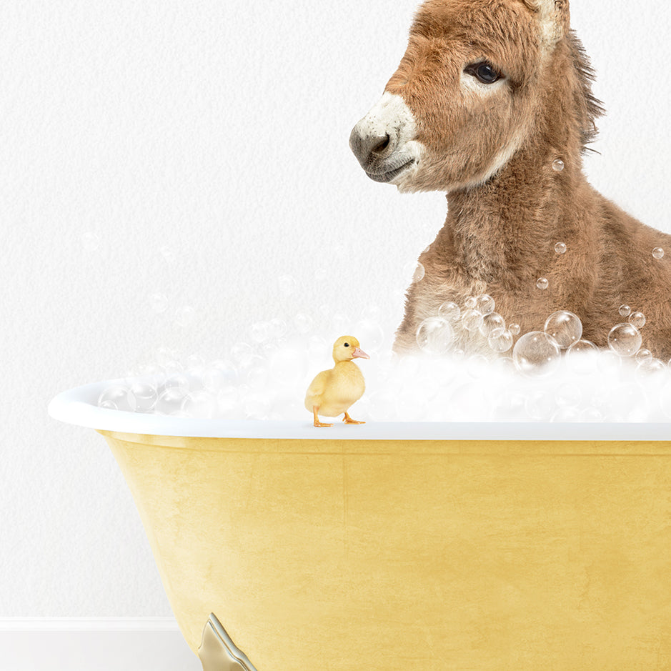 a donkey in a bathtub with bubbles and a rubber duck