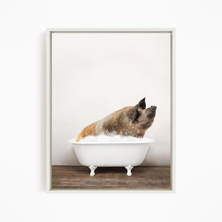 A brown and black pig is sitting in a white bathtub filled with bubbles, appearing to enjoy the bath.