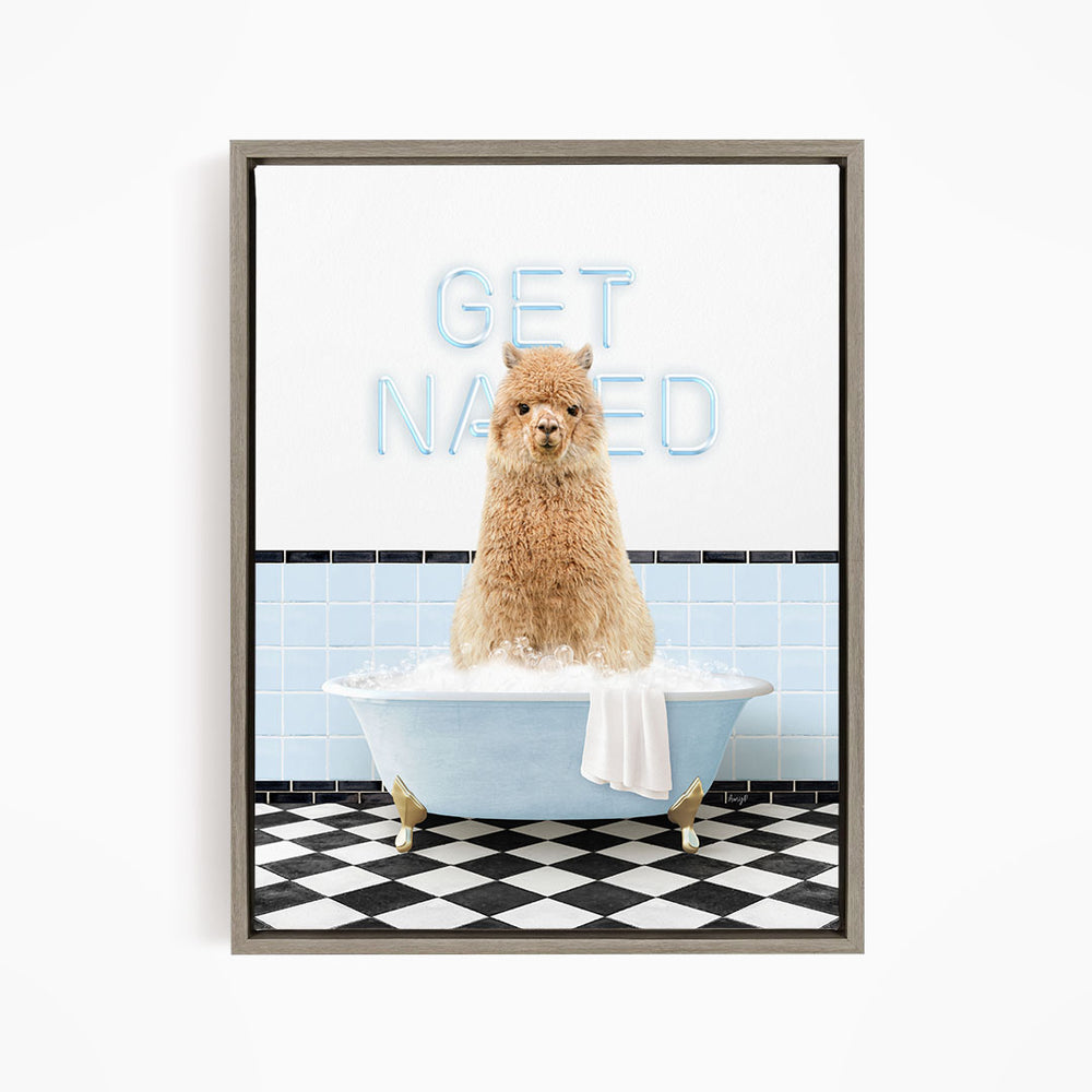 A fluffy brown dog sitting in a blue bathtub, with the words "GET NAKED" written on the wall behind it.