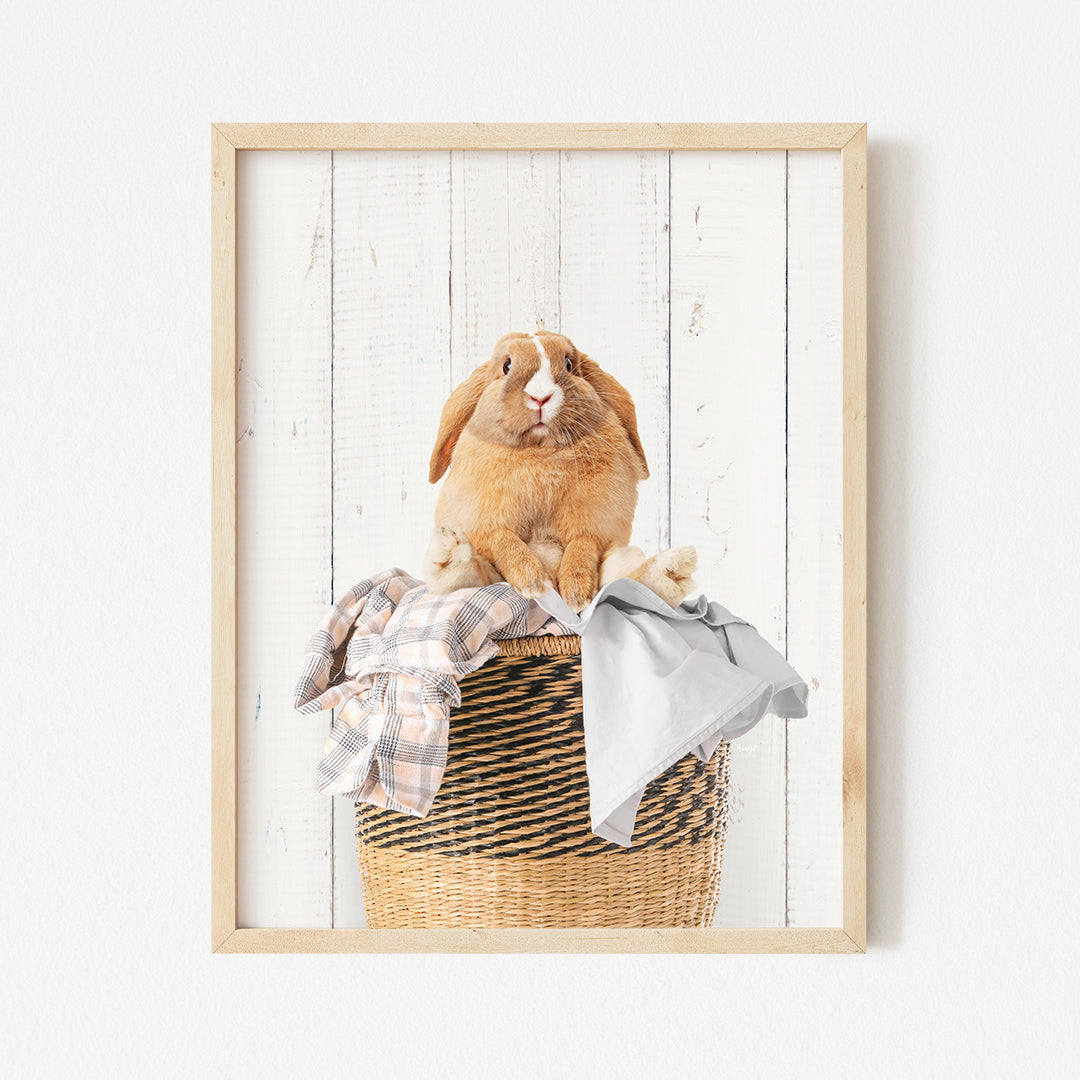 a rabbit sitting on top of a basket