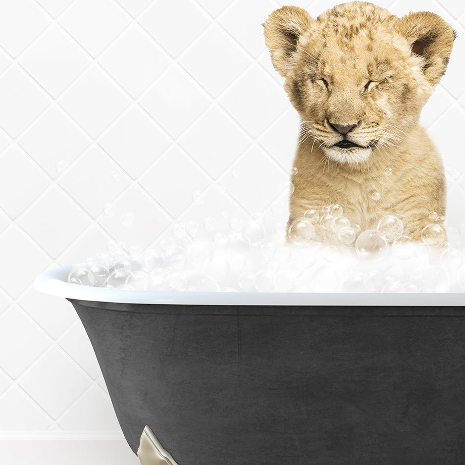 a lion cub sitting in a bathtub filled with bubbles