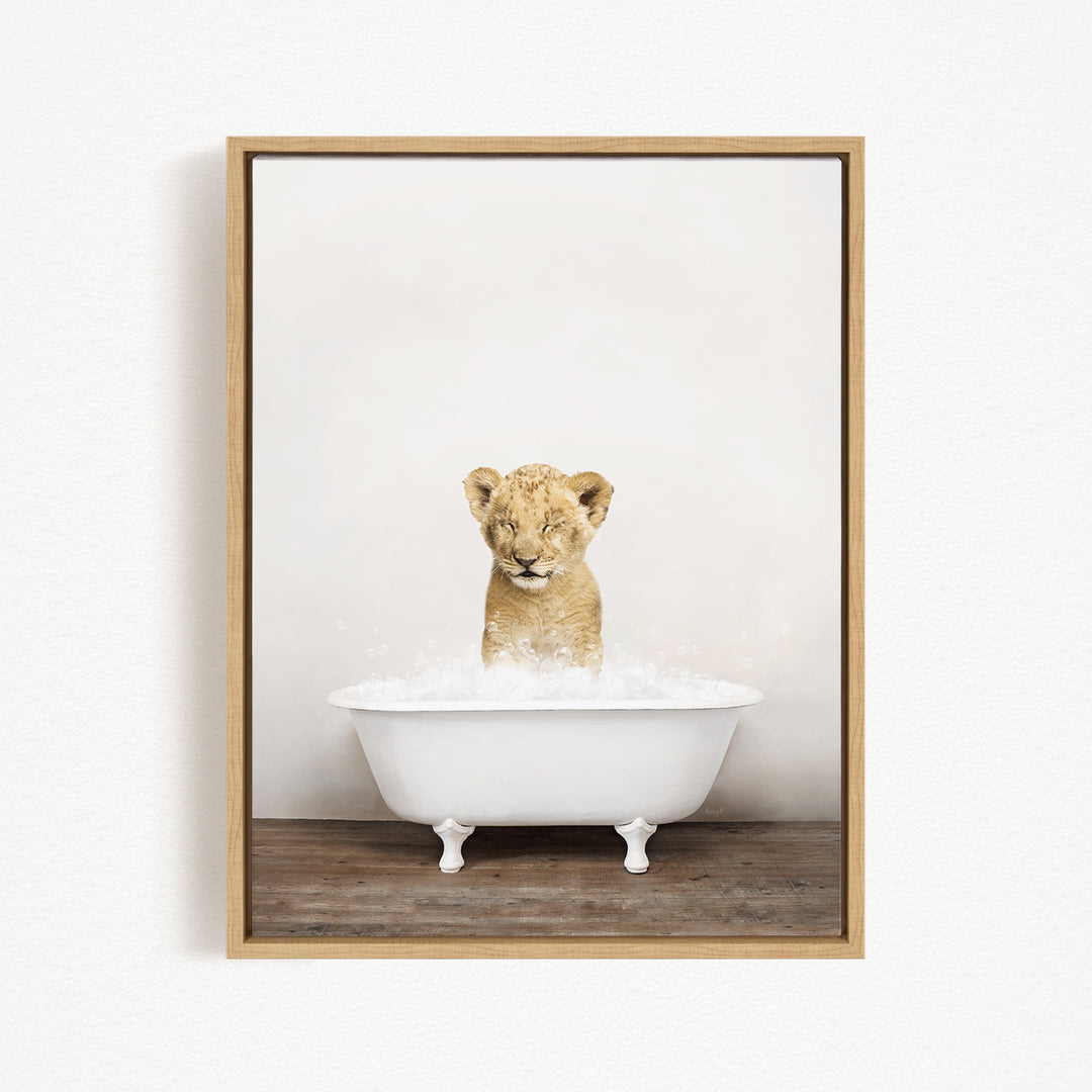 A young lion cub sitting in a white bathtub filled with water, looking up at the camera.