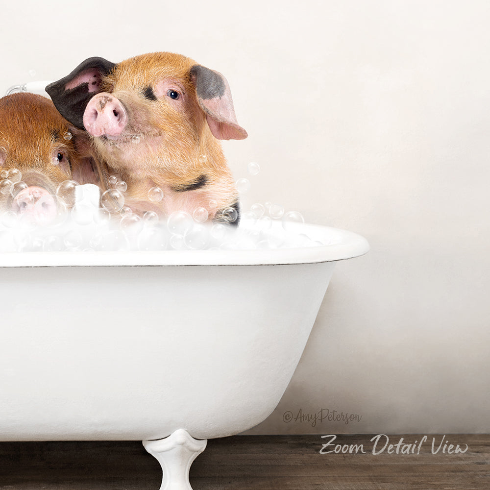 A white porcelain bathtub filled with water and bubbles, with two adorable pigs sitting inside and enjoying a bath.
