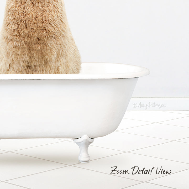 A fluffy brown cat sitting in a white bathtub, with a tiled floor in the background.