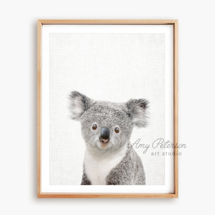 a picture of a koala in a wooden frame