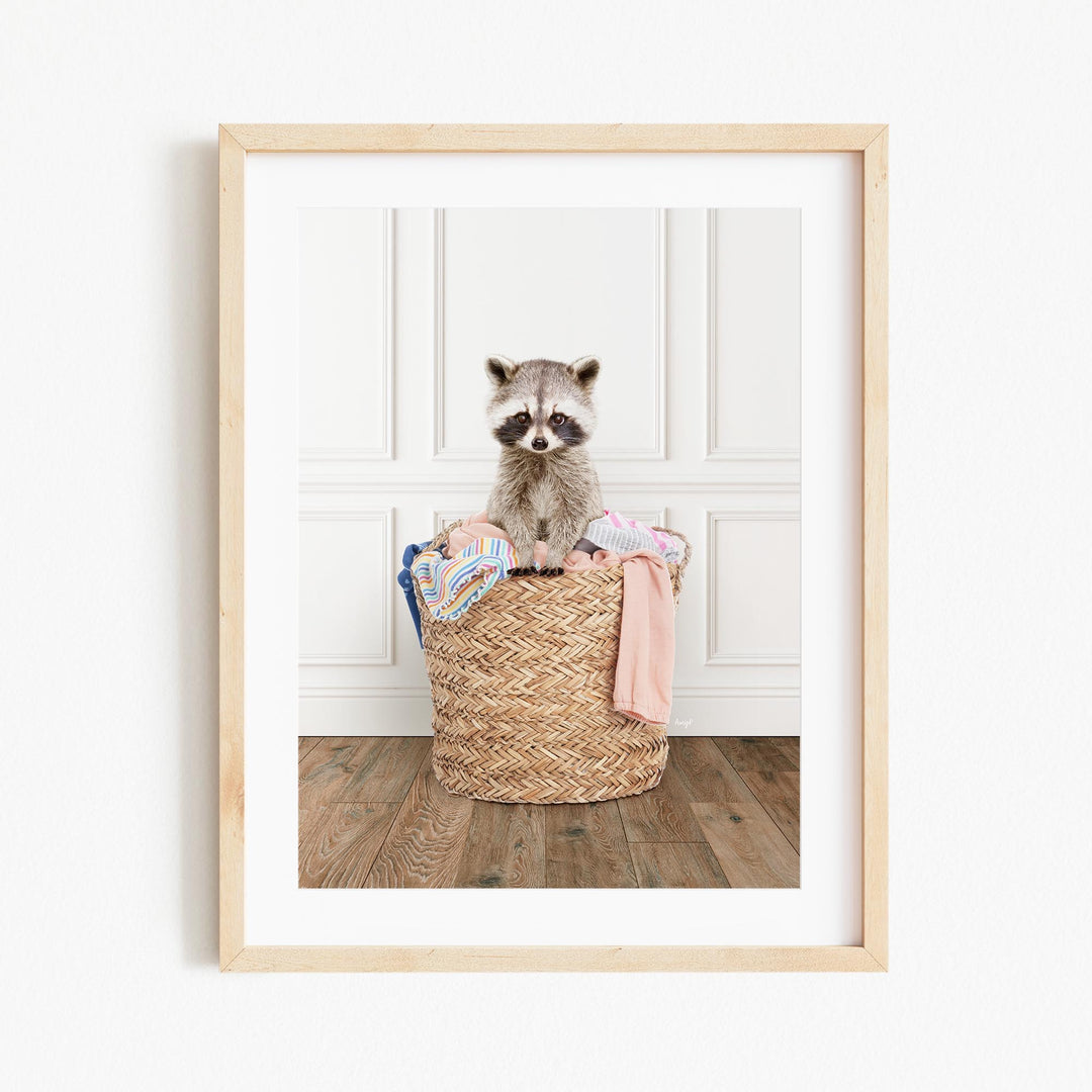 A raccoon sitting in a woven basket filled with clothes and other items.