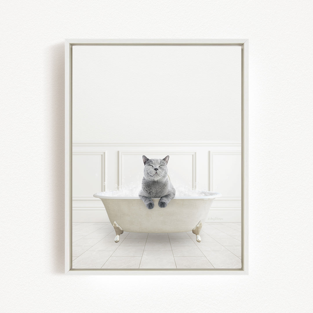 A gray cat sitting in a white bathtub filled with bubbles, looking content and relaxed.