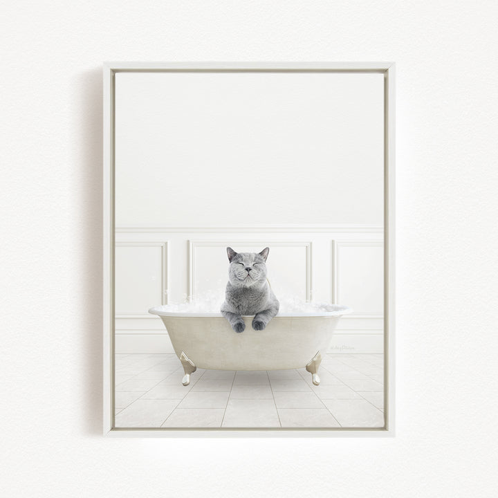 A gray cat sitting in a white bathtub filled with bubbles, looking content and relaxed.